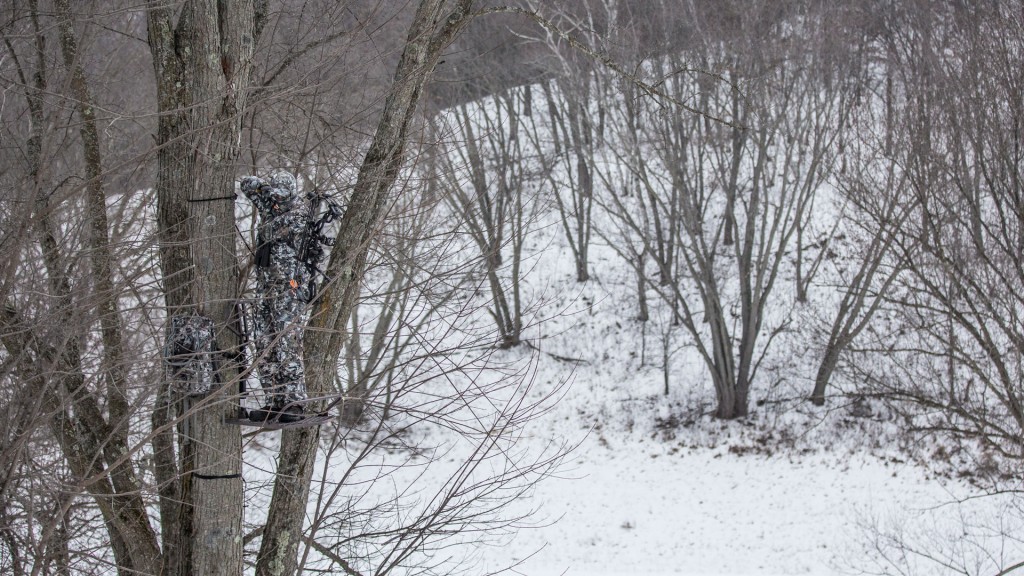 Watch for increased deer activity before and after major weather events