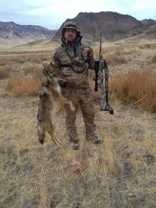 Is predator hunting an answer for big game species that may be losing numbers due to coyotes?