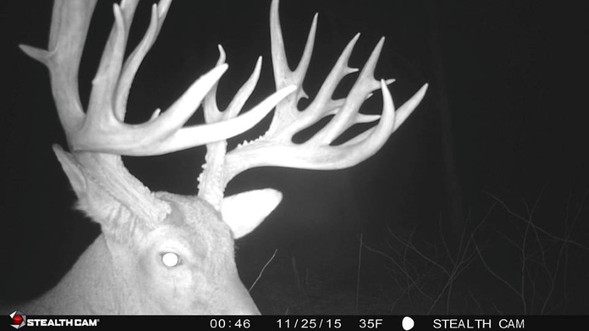 Fort Campbell trail cam buck