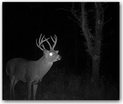 2016-2017 Deer Hunting Regulation Changes From Various States
