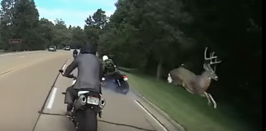 A Buck, a Motorcycle and You May Not Believe This