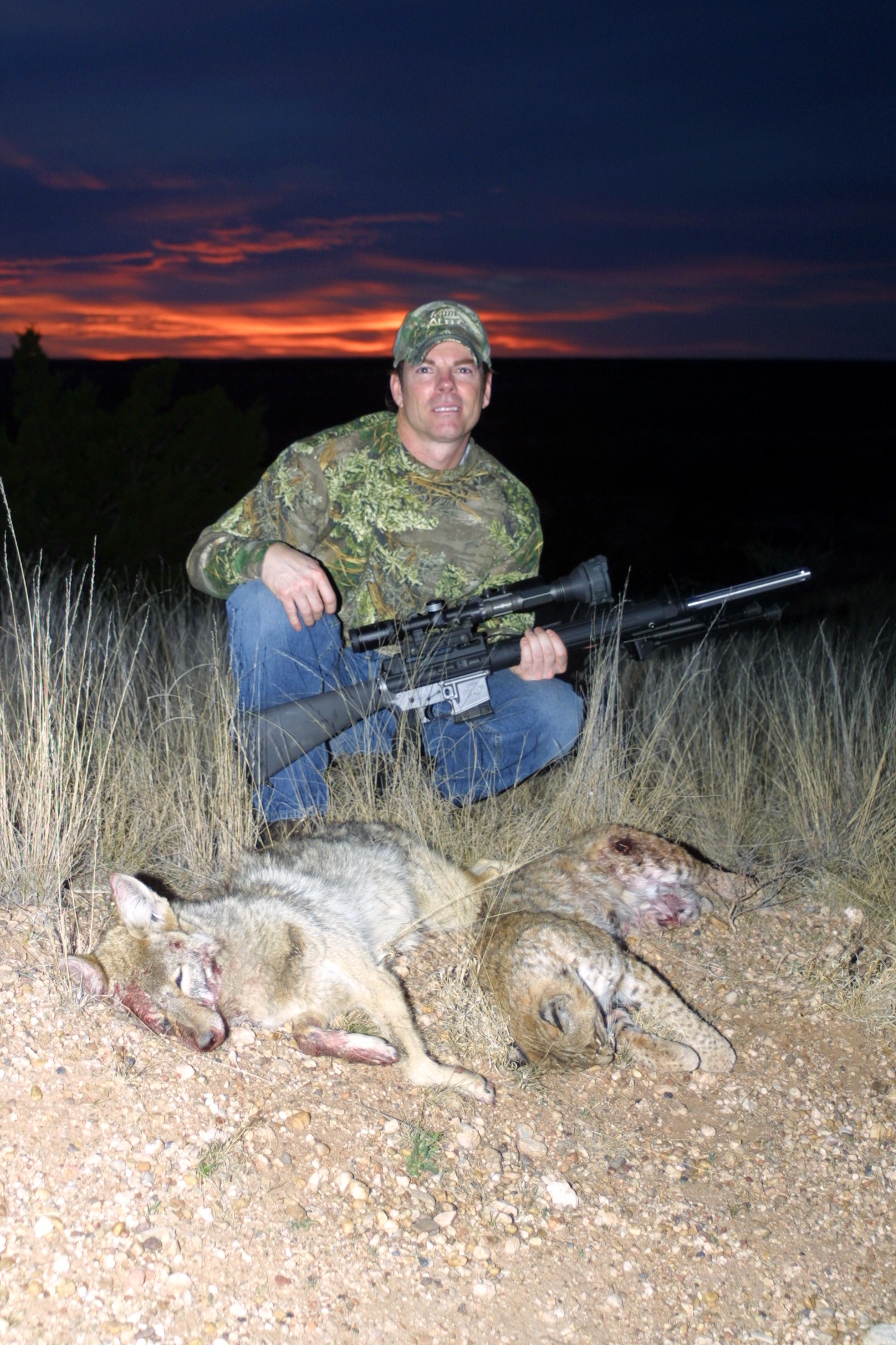 Is Coyote Control the Answer for Better Deer Hunting?