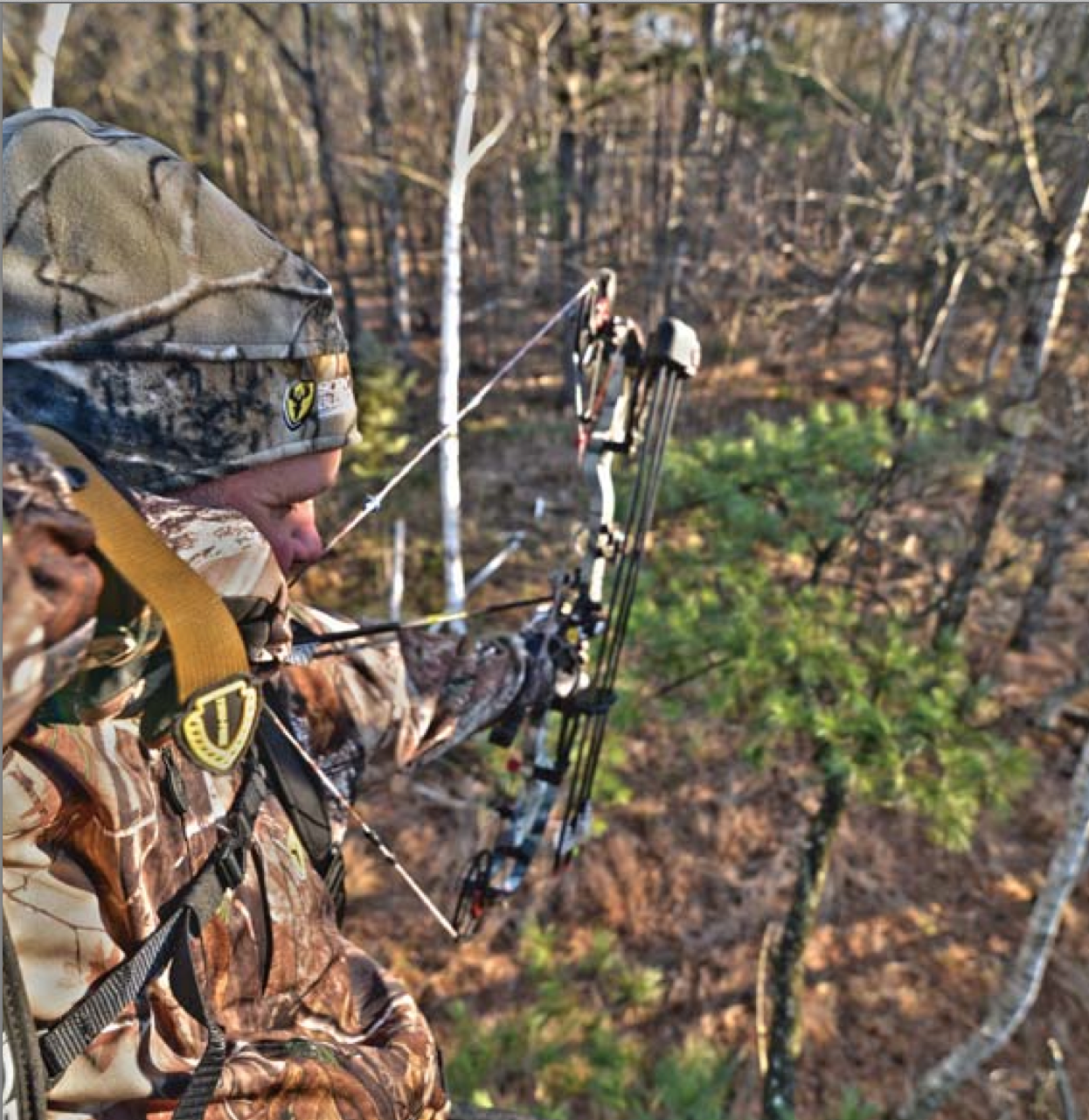 How a Drop-Away Arrow Rest Helps Your Bowhunting