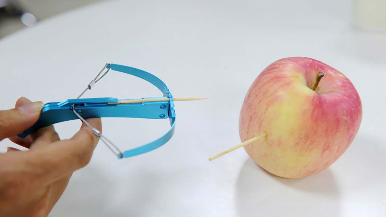 Oh Boy, A Toothpick-Shooting Crossbow