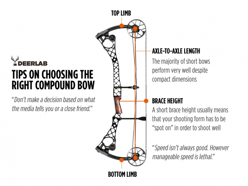 Choosing the Best Compound Bow for You