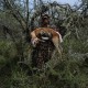 Secrets for trainning a better hunter