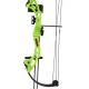 A Cool Compound Bow For Younger Archers