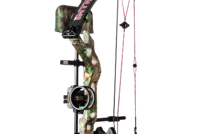 An Excellent Performance But Cheaper Compound Bows For Hunting