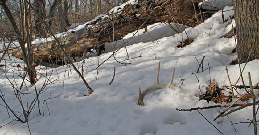 Where To Find A Good Shed Hunting Place In Hunting Game