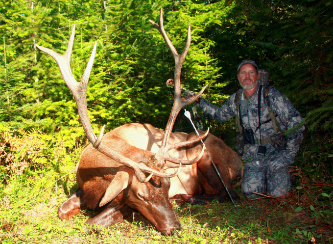 Tips For Winning The Elk Bowhunting Game