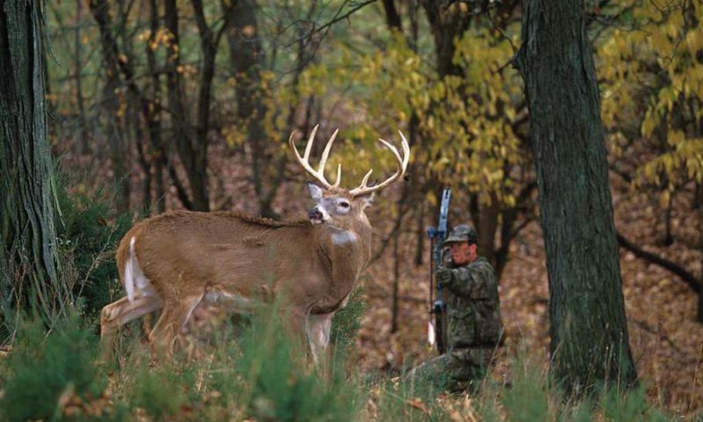 The Coming hunting season of Alabama brings big changes for deer, turkey hunters