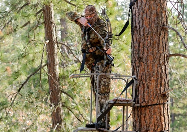 5 Tips to Make you a Better Bowhunter
